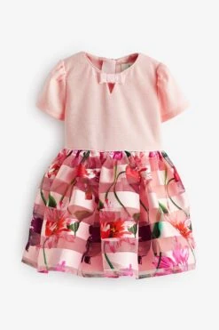 Baker By Ted Baker Kleid Mit Gestreiftem Rockteil Mit Ausbrennermuster -MONSON Kleidung Geschaft 322 877s7