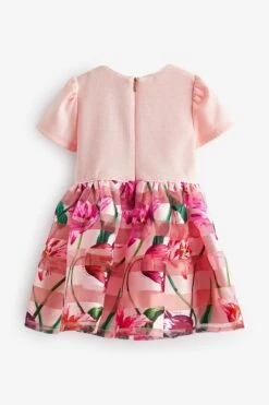 Baker By Ted Baker Kleid Mit Gestreiftem Rockteil Mit Ausbrennermuster -MONSON Kleidung Geschaft 322 877s8