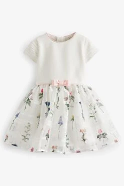 Baker By Ted Baker 2-in-1-Kleid Mit Ausbrennermuster -MONSON Kleidung Geschaft 368 663s8