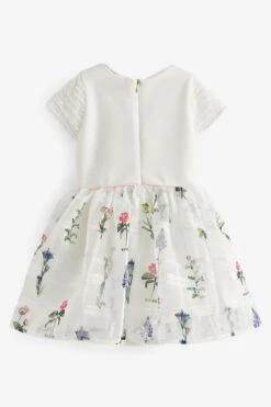 Baker By Ted Baker 2-in-1-Kleid Mit Ausbrennermuster -MONSON Kleidung Geschaft 368 663s9