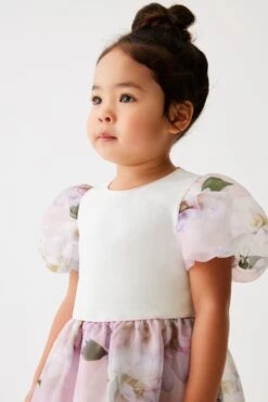 Baker By Ted Baker 2-in-1-Organza-Kleid -MONSON Kleidung Geschaft 509473s4