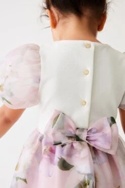 Baker By Ted Baker 2-in-1-Organza-Kleid -MONSON Kleidung Geschaft 509473s5