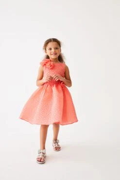 Baker By Ted Baker Strukturiertes Kleid Mit Zierblume, Orange/Apricot