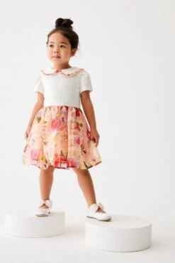 ​​​​​​​Baker By Ted Baker Kleid In Zweiteiligem Design Mit Ausbrennermuster, Apricot