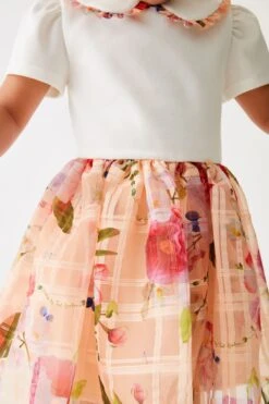 ​​​​​​​Baker By Ted Baker Kleid In Zweiteiligem Design Mit Ausbrennermuster, Apricot -MONSON Kleidung Geschaft 886697s3