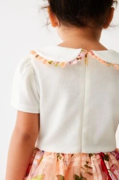 ​​​​​​​Baker By Ted Baker Kleid In Zweiteiligem Design Mit Ausbrennermuster, Apricot -MONSON Kleidung Geschaft 886697s5