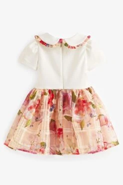 ​​​​​​​Baker By Ted Baker Kleid In Zweiteiligem Design Mit Ausbrennermuster, Apricot -MONSON Kleidung Geschaft 886697s7