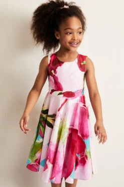 Phase Eight Nala Bedrucktes Kleid, Rosa -MONSON Kleidung Geschaft B46518s3