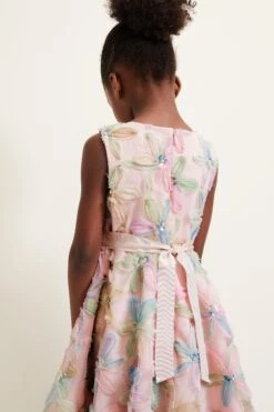 Phase Eight Flora Jacquard-Kleid, Rosa -MONSON Kleidung Geschaft B52710s5