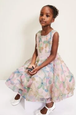 Phase Eight Flora Jacquard-Kleid, Rosa -MONSON Kleidung Geschaft B52710s6