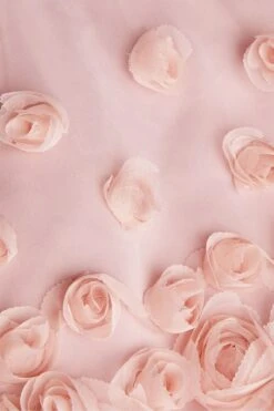 Monsoon Ianthe Kleid, Altrosa -MONSON Kleidung Geschaft C72248s3