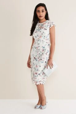 Phase Eight Kurzgröße Franky Kleid Mit Blumenspitze, Creme -MONSON Kleidung Geschaft D41960s3