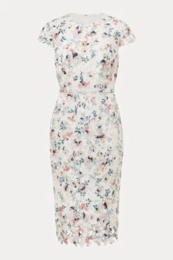 Phase Eight Kurzgröße Franky Kleid Mit Blumenspitze, Creme -MONSON Kleidung Geschaft D41960s6