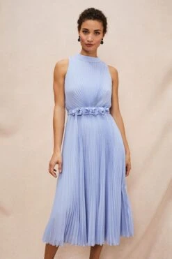 Phase Eight Simara Plissiertes Kleid, Blau -MONSON Kleidung Geschaft D62959s4