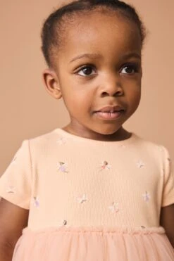 Next Rosa - Geripptes Kleid Mit Mesh (3 Monate Bis 7 Jahre) 11 Next Rosa - Geripptes Kleid Mit Mesh (3 Monate Bis 7 Jahre) -MONSON Kleidung Geschaft N13 176s4