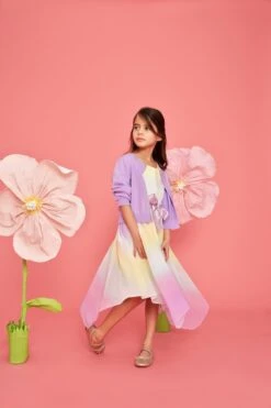 Monsoon Ola Chiffon-Kleid Mit Farbverlauf