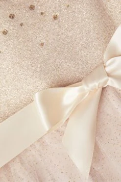 Monsoon Baby Amber Kleid Mit Rosenverzierung -MONSON Kleidung Geschaft N27456s4