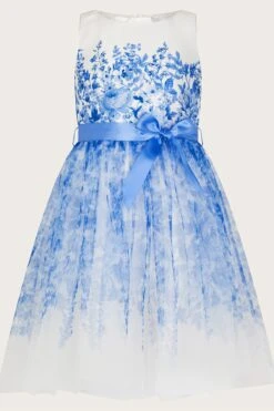 Monsoon Gabriella Kleid Mit Blumenmuster