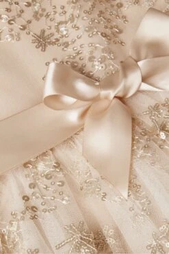 Monsoon Skye Tunika-Kleid Mit Paillettenverzierung -MONSON Kleidung Geschaft N27493s4