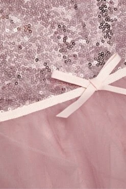 Monsoon Isabella Kleid Mit Pailletten Und Rüschen -MONSON Kleidung Geschaft N27507s3