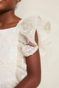 Phase Eight Rosa Gesmoktes Kleid Mit Spitzenapplikation, Creme -MONSON Kleidung Geschaft N66339s6