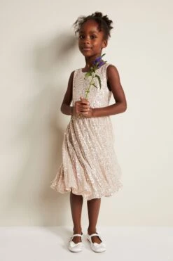 Phase Eight Tiana Plissiertes Kleid Mit Pailletten, Rosa -MONSON Kleidung Geschaft N66343s5