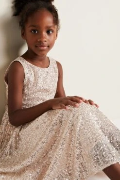 Phase Eight Tiana Plissiertes Kleid Mit Pailletten, Rosa -MONSON Kleidung Geschaft N66343s7