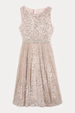 Phase Eight Tiana Plissiertes Kleid Mit Pailletten, Rosa -MONSON Kleidung Geschaft N66343s8