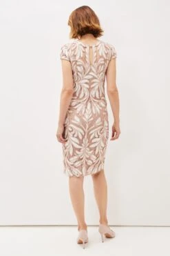 Phase Eight Anastasia Kleid Mit Spitze Und Zierstreifen, Pink -MONSON Kleidung Geschaft T68671s2