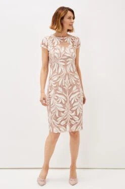 Phase Eight Anastasia Kleid Mit Spitze Und Zierstreifen, Pink -MONSON Kleidung Geschaft T68671s3