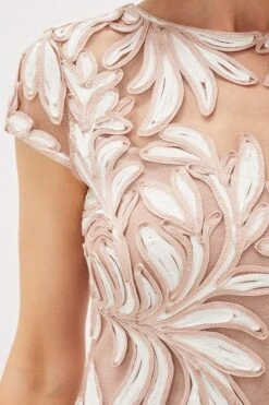 Phase Eight Anastasia Kleid Mit Spitze Und Zierstreifen, Pink -MONSON Kleidung Geschaft T68671s5