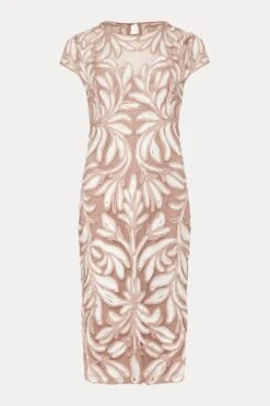 Phase Eight Anastasia Kleid Mit Spitze Und Zierstreifen, Pink -MONSON Kleidung Geschaft T68671s6